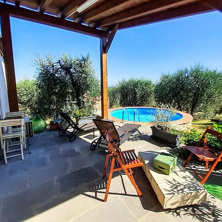 Selva Degli Ulivi Guest House Foiano Della Chiana Bagian luar foto