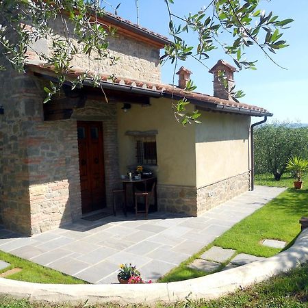Selva Degli Ulivi Guest House Foiano Della Chiana Bagian luar foto