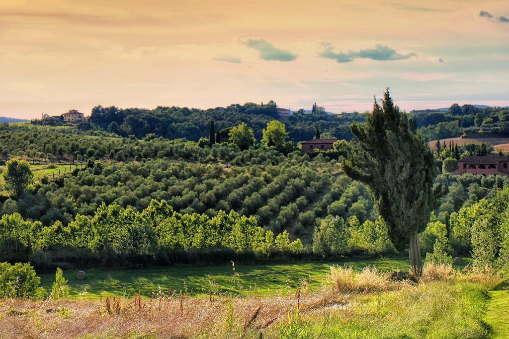 Selva Degli Ulivi Guest House Foiano Della Chiana Bagian luar foto